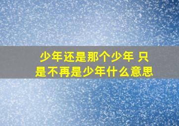 少年还是那个少年 只是不再是少年什么意思